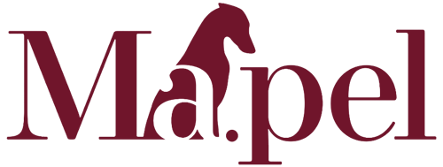 mapel pelletteria alta moda